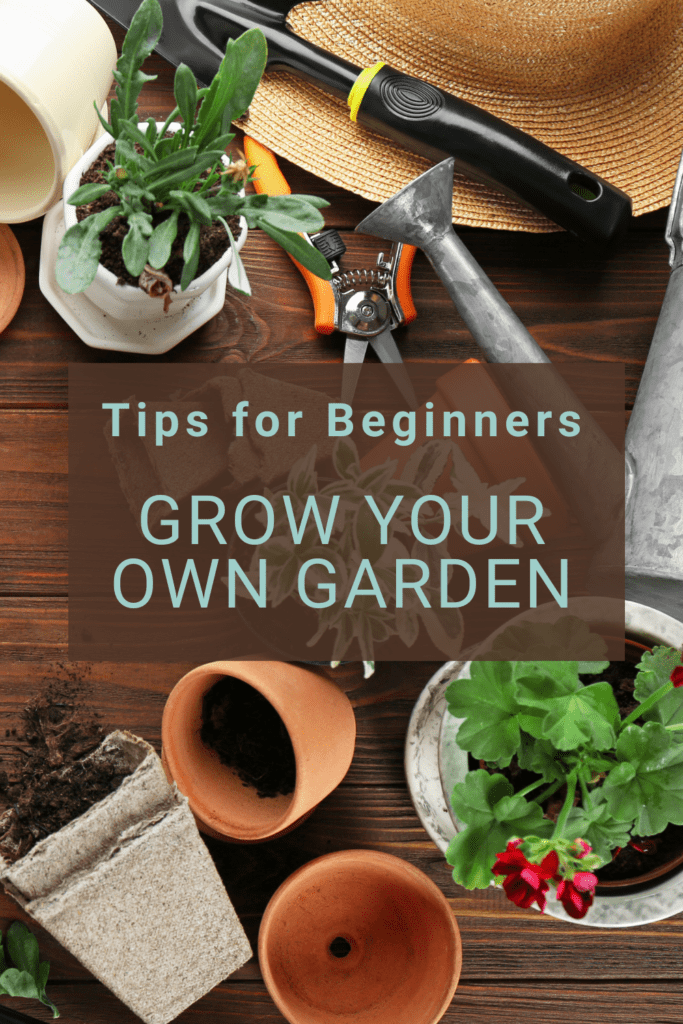 Grow Your Own Garden: Tips for Beginners