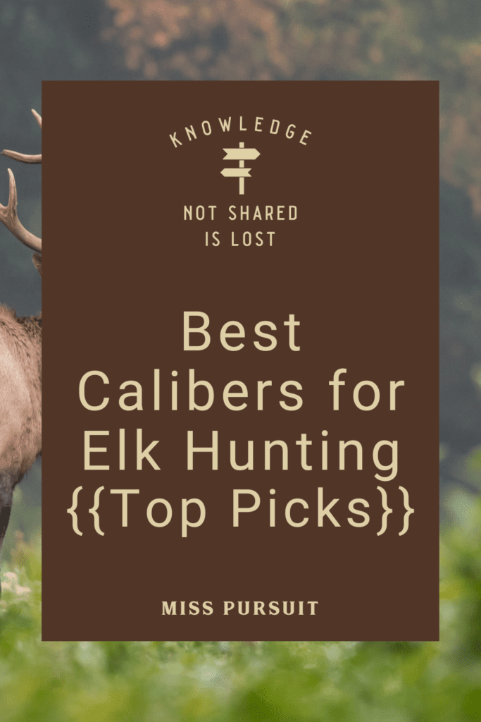 Best Calibers for Elk Hunting