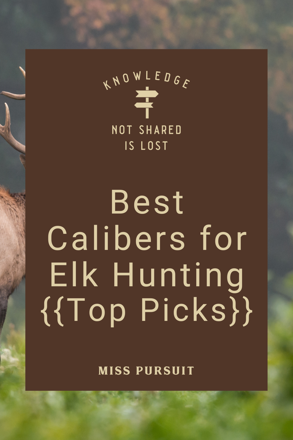 Best Calibers for Elk Hunting:: Top Picks