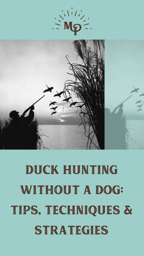 Duck Hunting Without a Dog: Tips, Techniques & Strategies