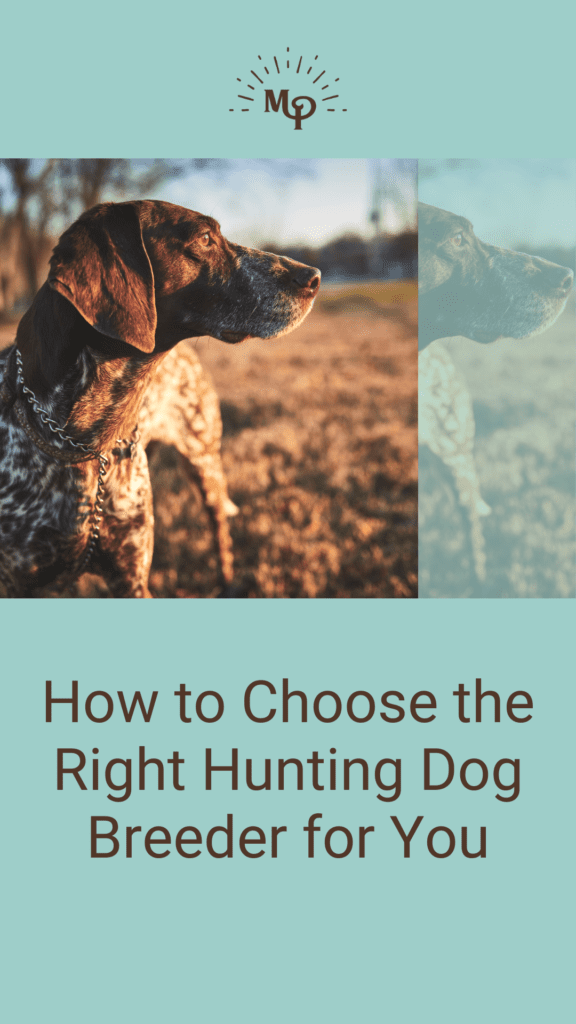 Hunting Dog Breeder