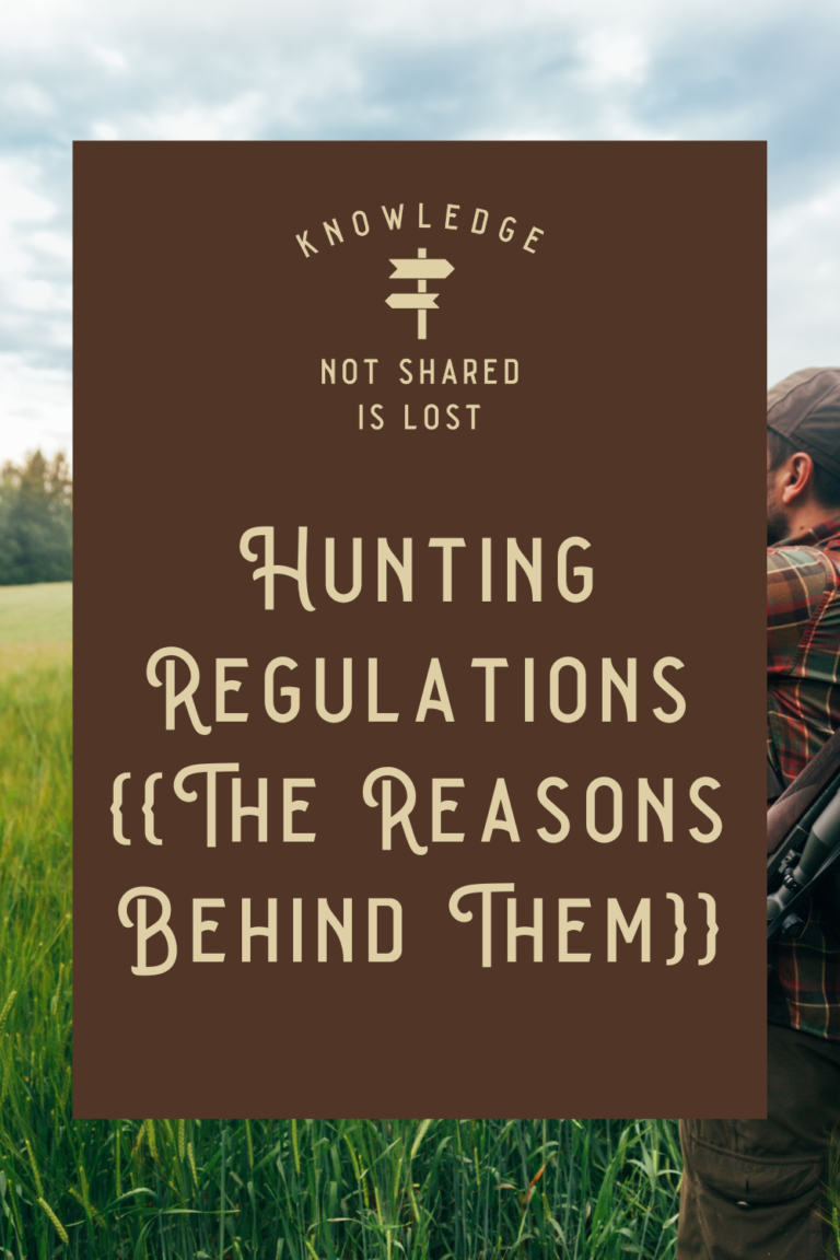 Hunting Regulations: The Reasons Behind Them