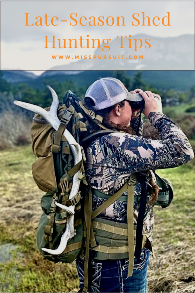 Shed Hunting: Tips and Tricks for a More Successful Hunt