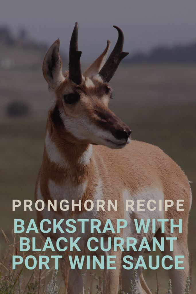 pronghorn recipe
