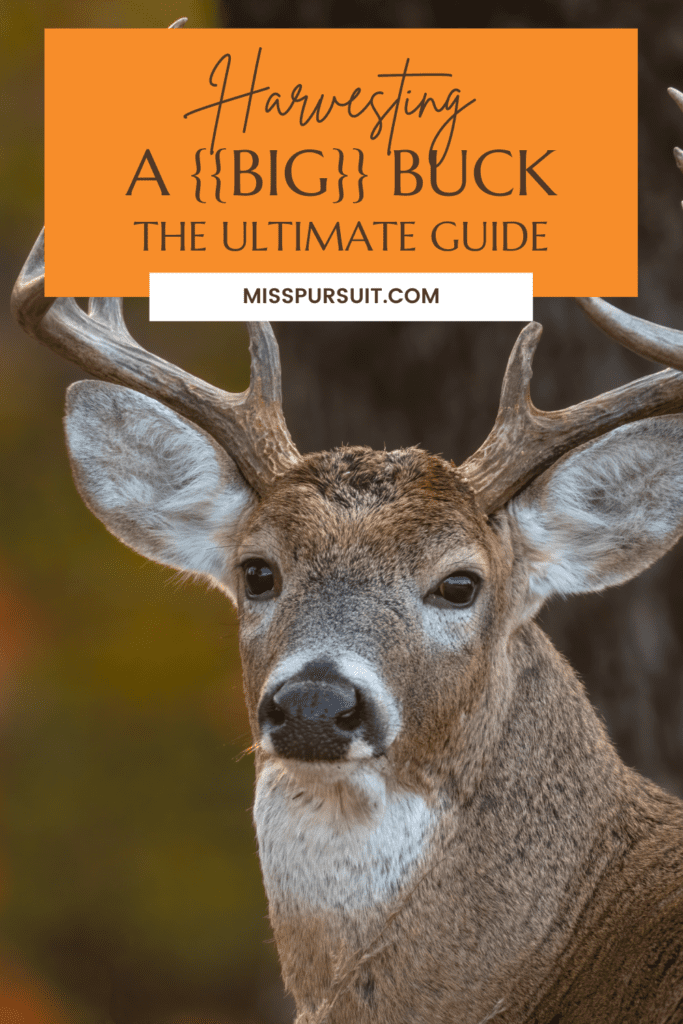 The Ultimate Guide to Harvesting a {{Big}} Buck