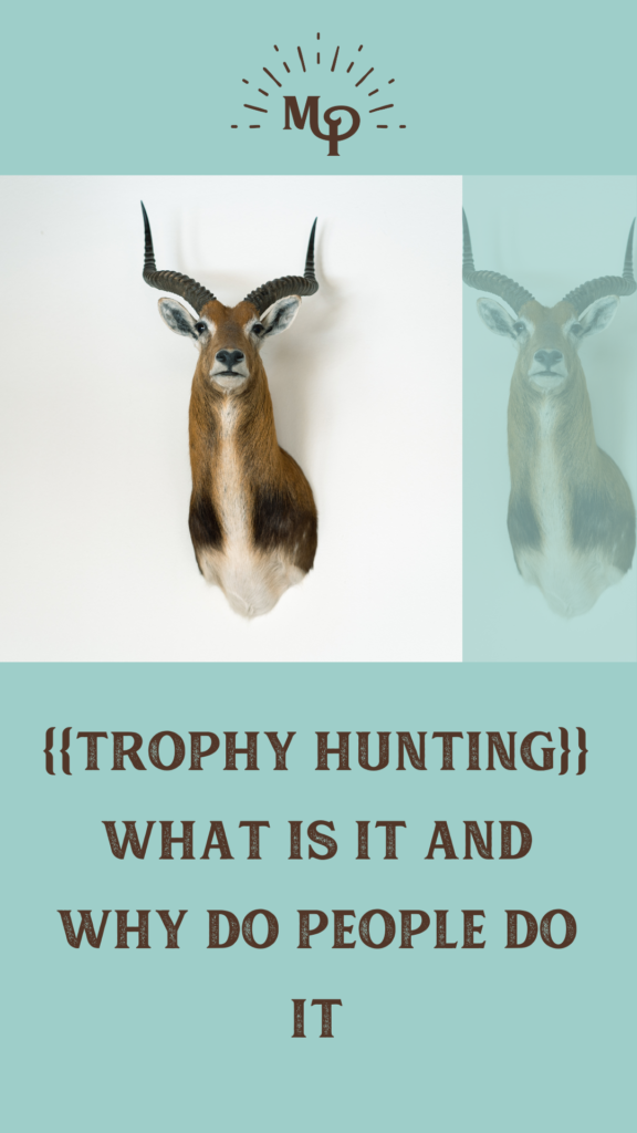 trophy hunting