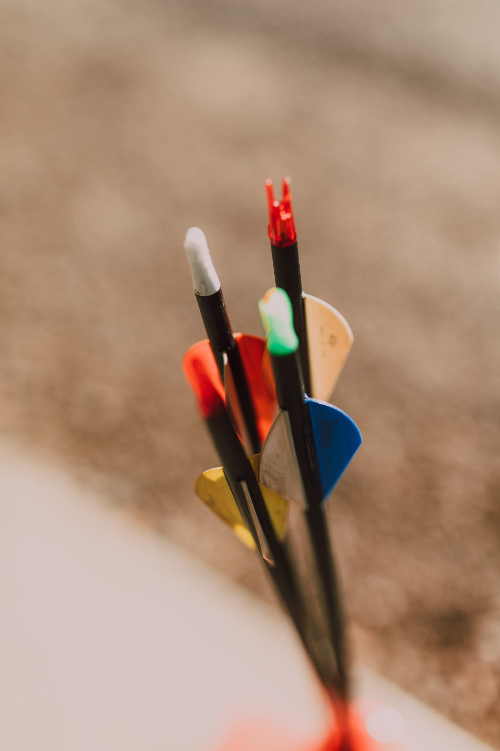 Best Hunting Arrows for a Successful Hunt