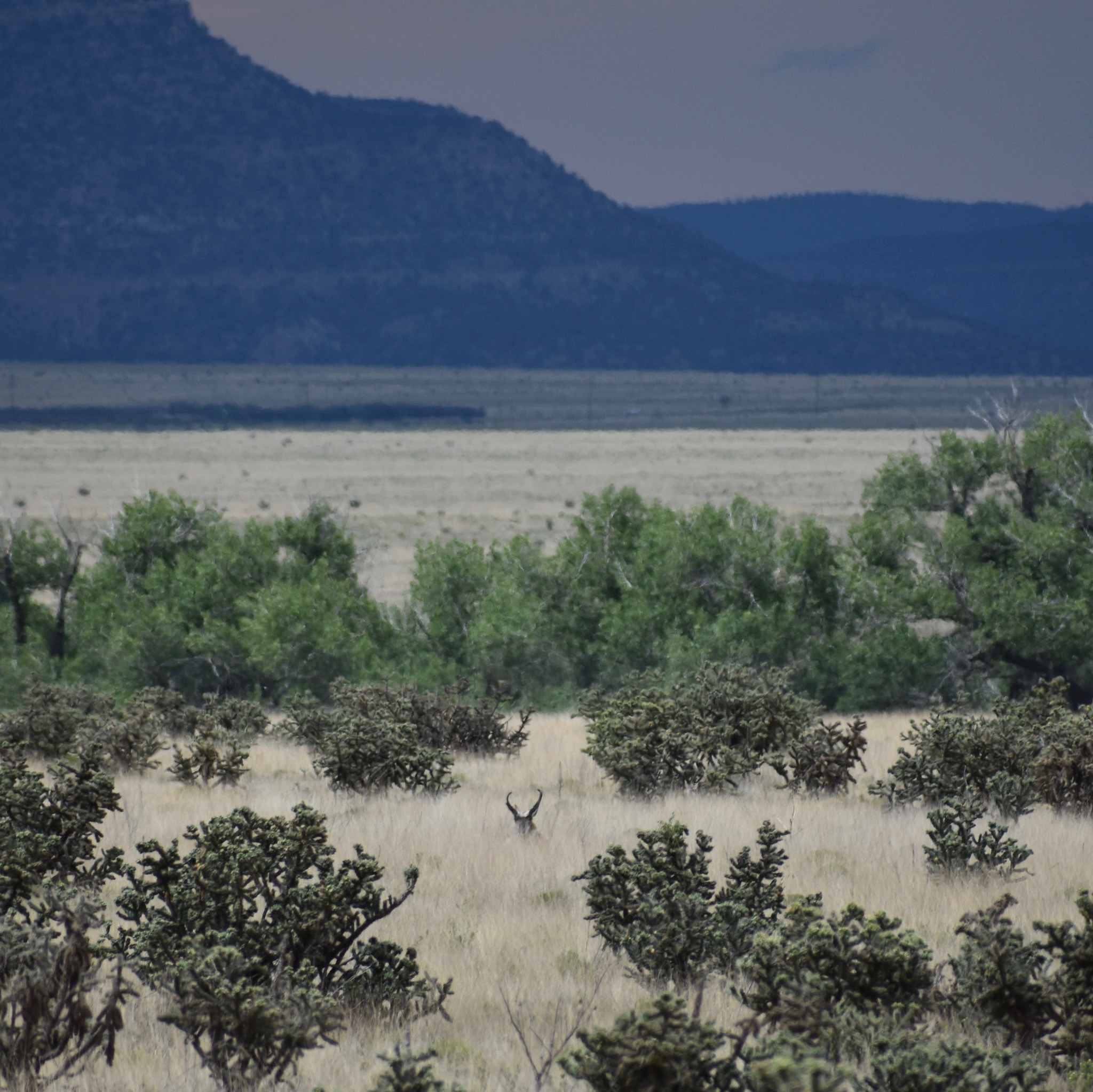 Our Top Picks for the Best Rangefinders for Hunting