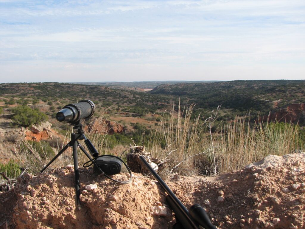 Essential Gear for a Successful Mule Deer Hunt