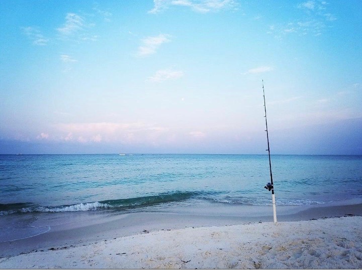 Surf Fishing for Beginners:: Everything You Need