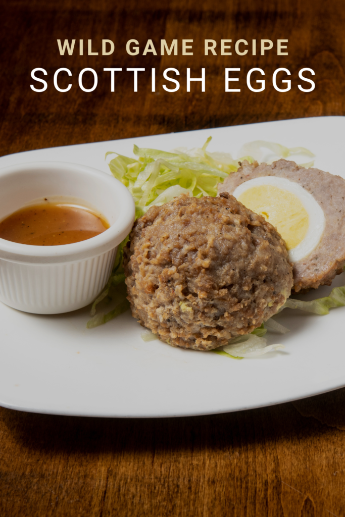 wild game recipe scottish eggs