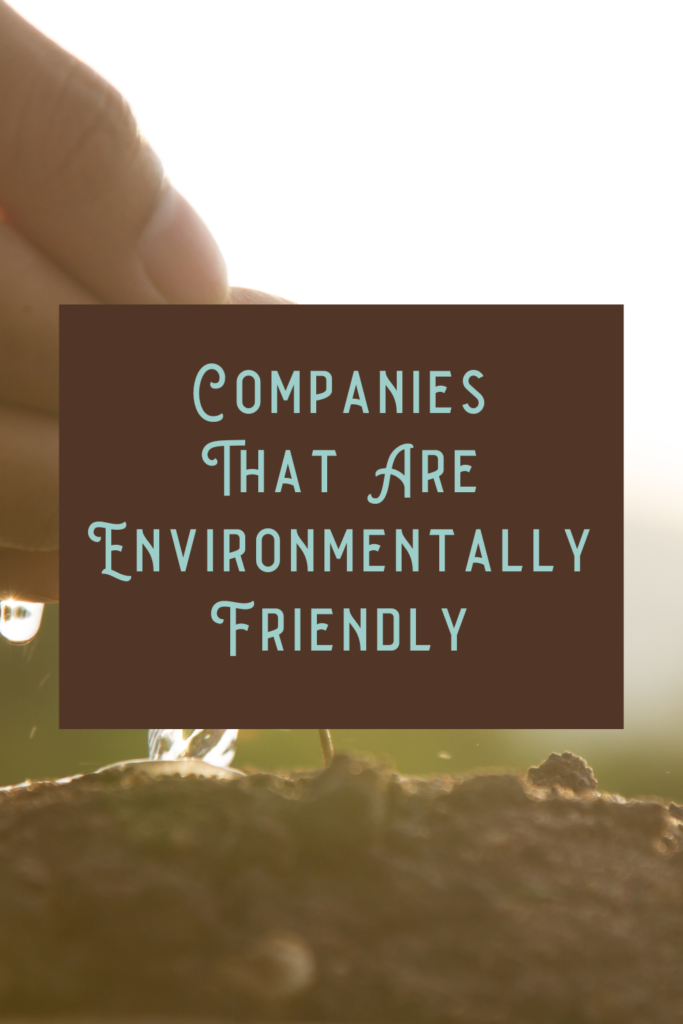 Companies That Are Environmentally Friendly