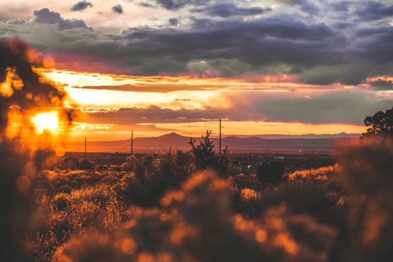 Take Me Back To Santa Fe: Tips for Your Trip