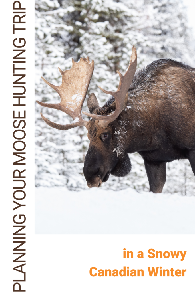 Planning Your Moose Hunting Trip in a Snowy Canadian Winter
