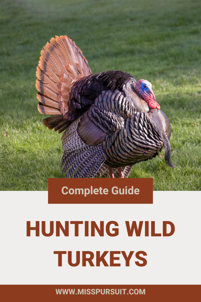 The Complete Guide to Hunting Wild Turkeys