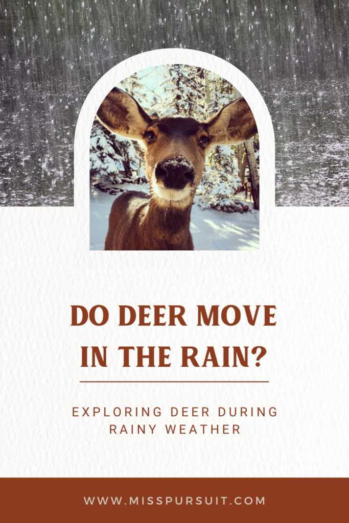 Do Deer Move in the Rain? Exploring Deer During Rainy Weather