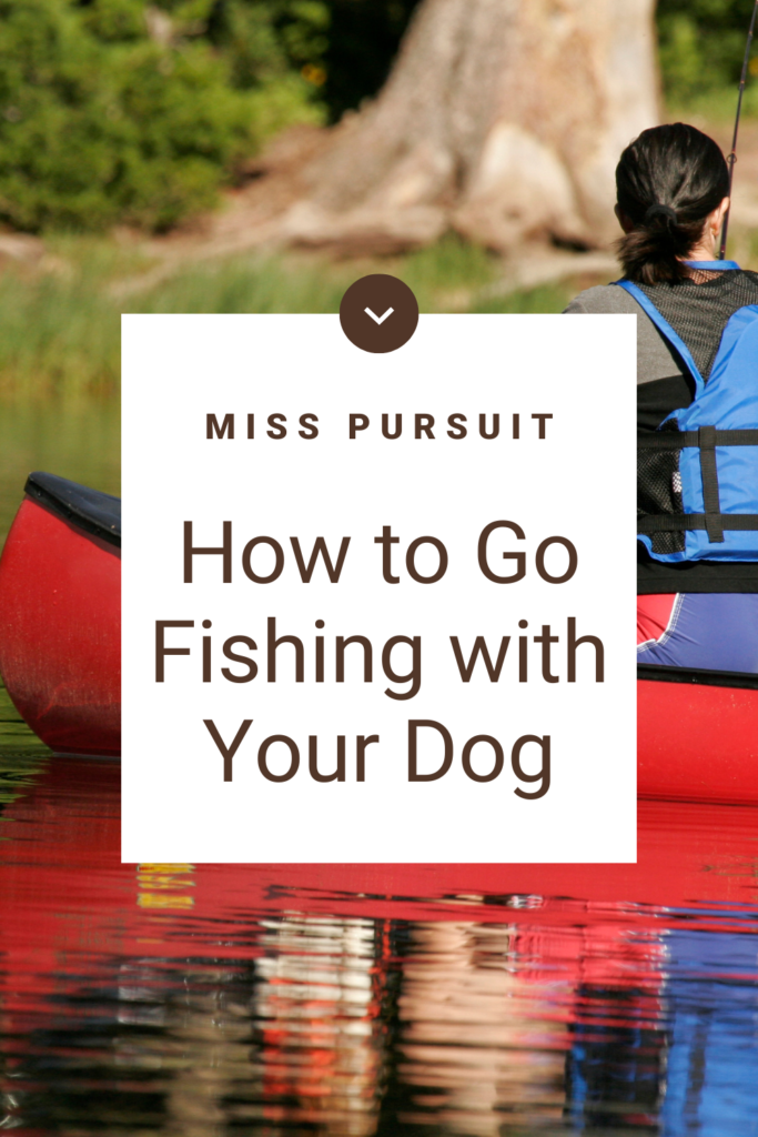 How to Go Fishing with Your Dog: Fun with Your Furry Friend