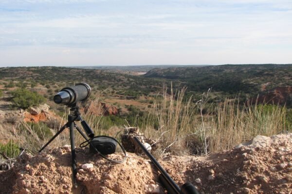 Best Spotting Scopes for Bird Watching and Hunting