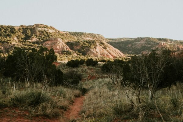 State Parks in Texas | Great State Parks in Texas | State Parks Texas