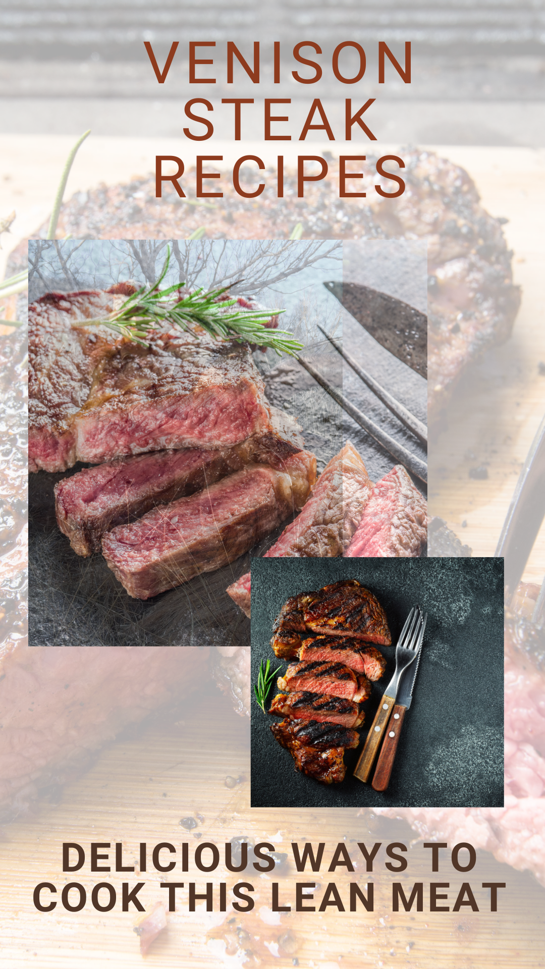 Venison Steak Recipes: Delicious Ways to Cook This Lean Meat