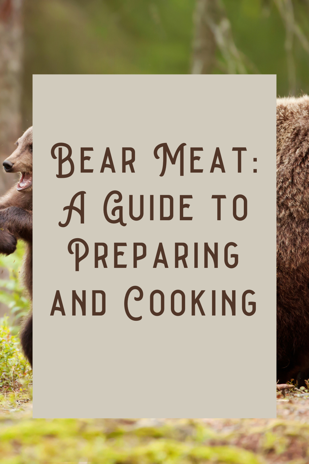 Bear Meat: A Guide to Preparing and Cooking