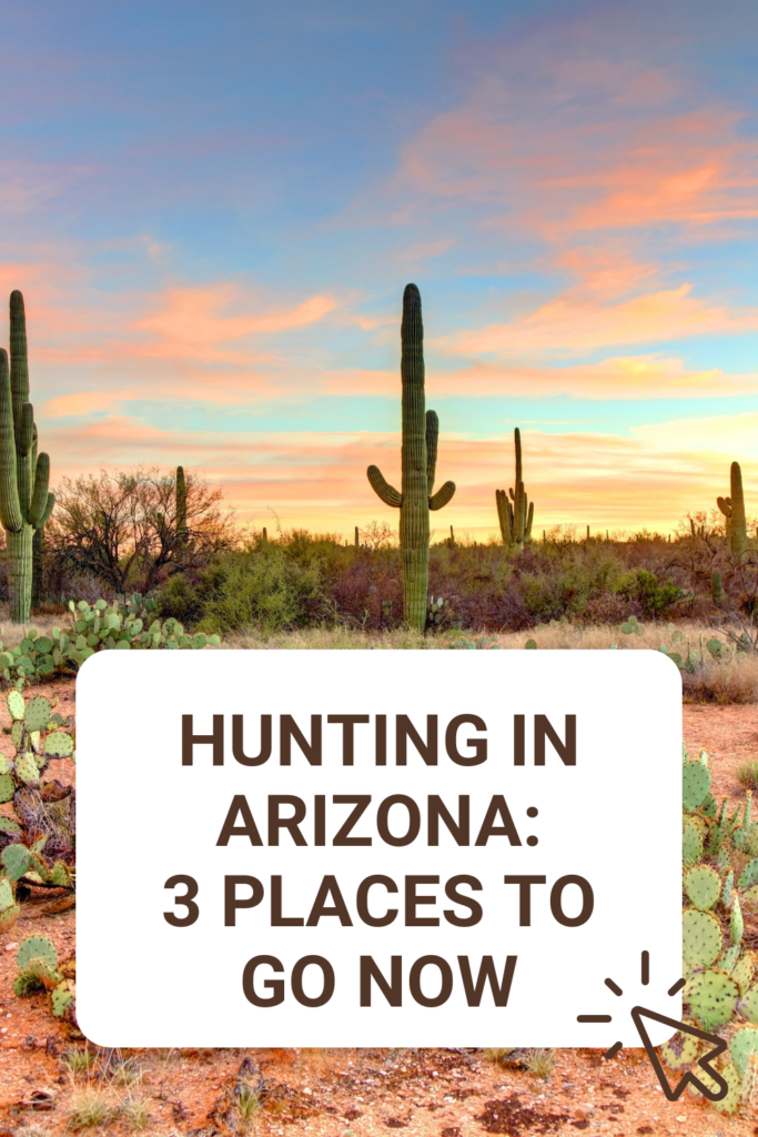 Hunting in Arizona: 3 Places to Go NOW