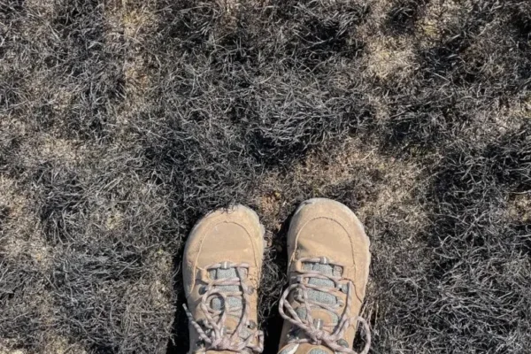 Expert Reviews: The Best Hunting Boots for Women