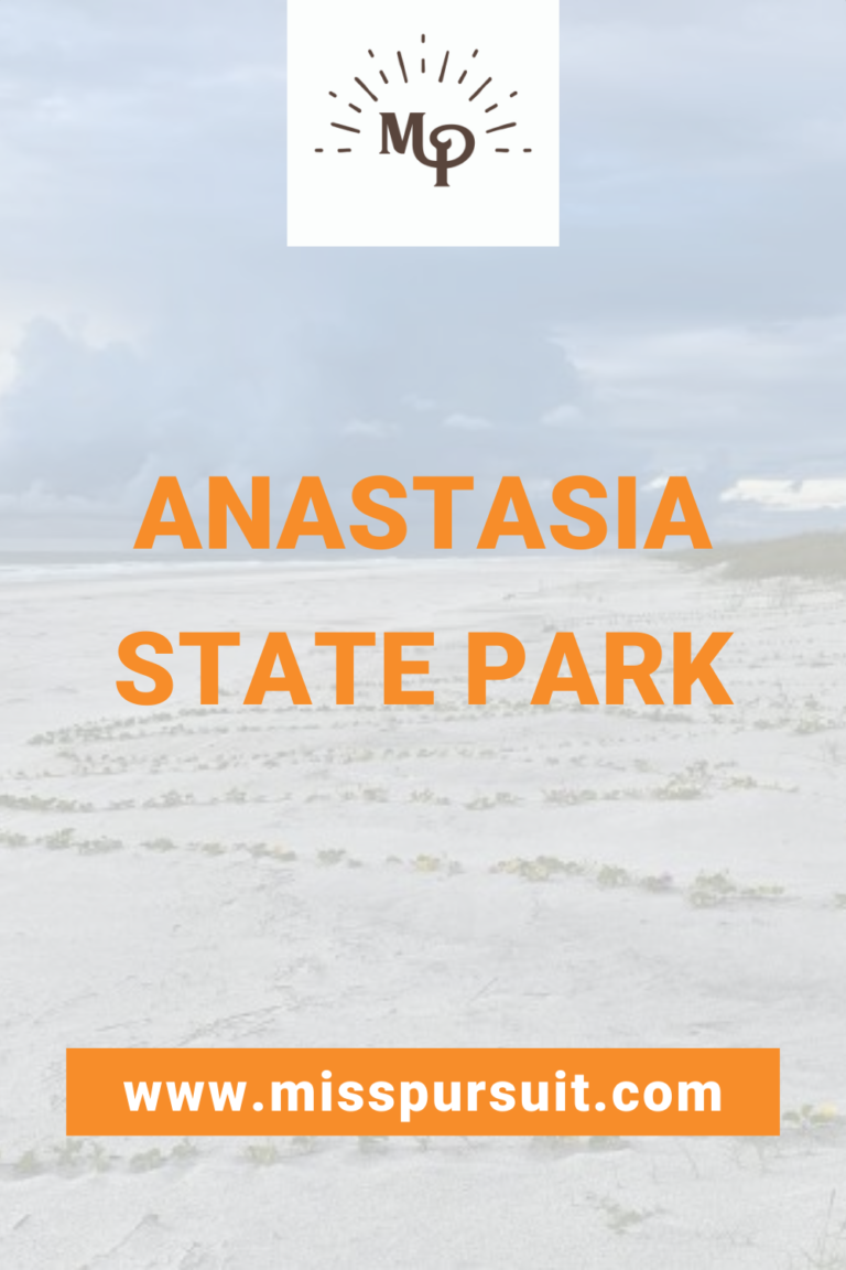 Let’s Visit: Anastasia State Park