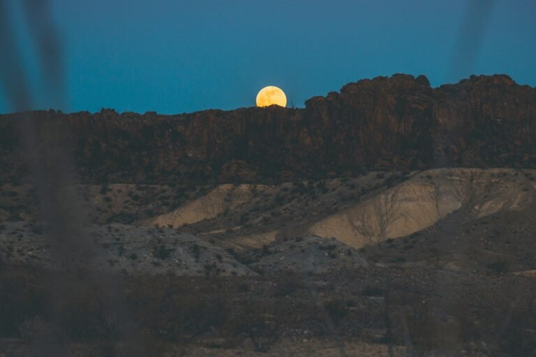 A Guide to Conservation Nonprofits in Texas