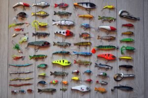 Lures for Lake Trout: Tips and Tricks for Successful Fishing