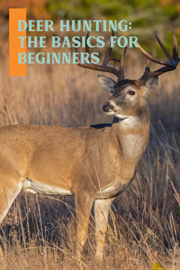 Deer Hunting: The Basics for Beginners