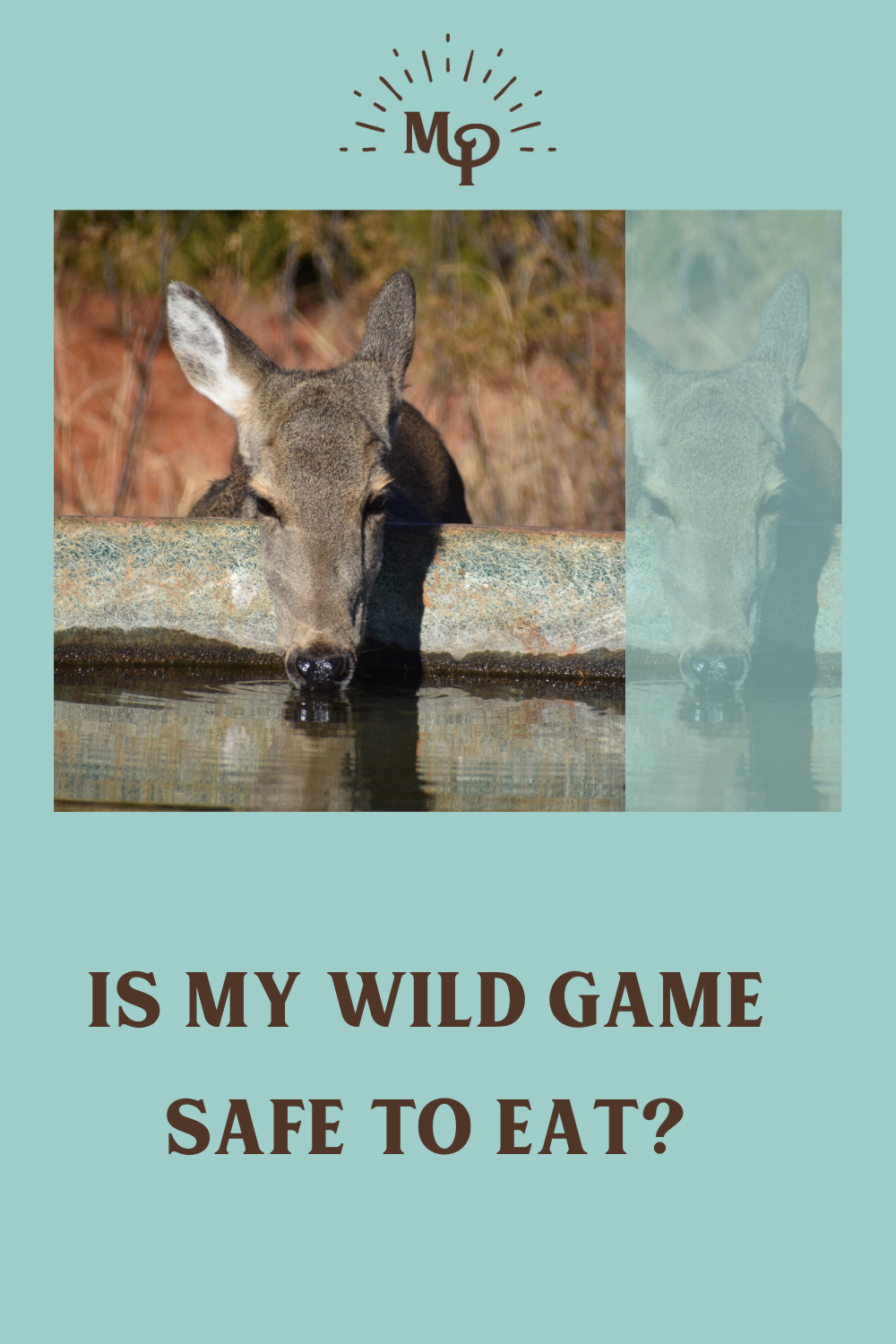 Is My Wild Game Safe to Eat?