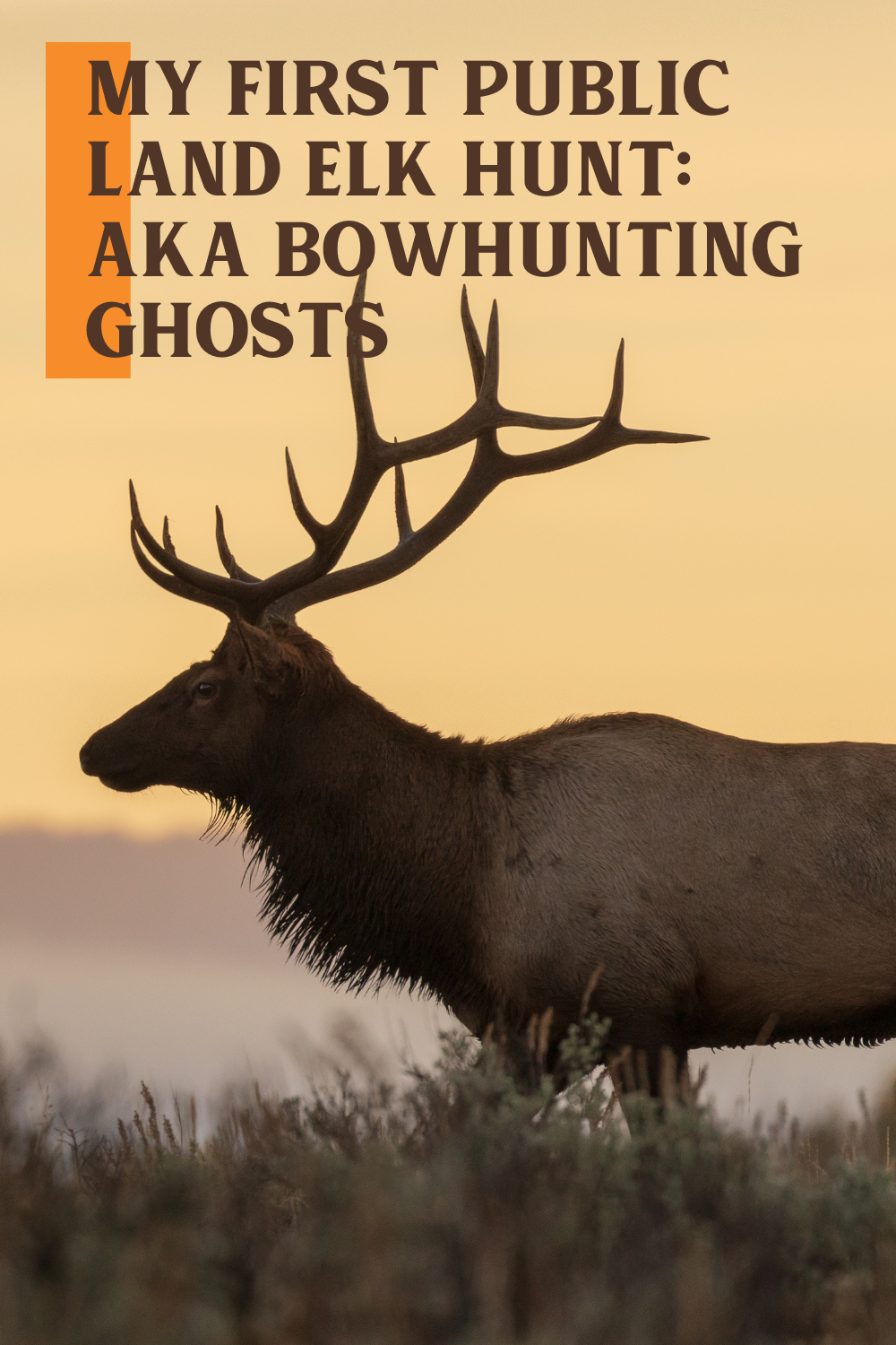My First Public Land Elk Hunt: AKA Bowhunting Ghosts