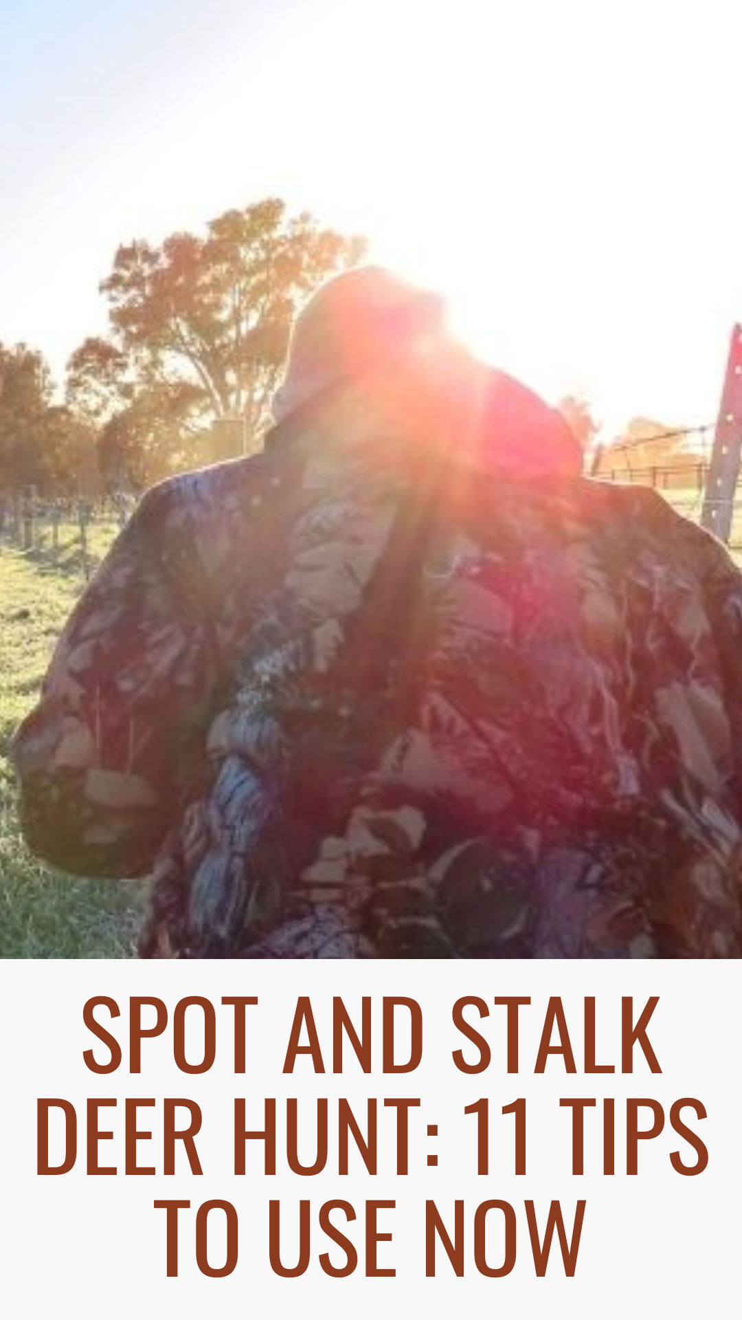 Spot and Stalk Deer Hunt: 11 Tips to Use NOW
