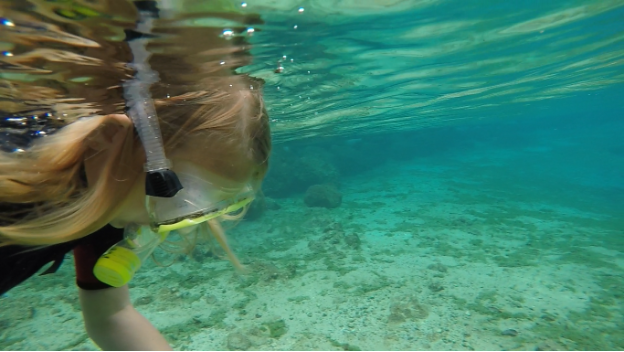 Crystal River Manatees: A True Adventure