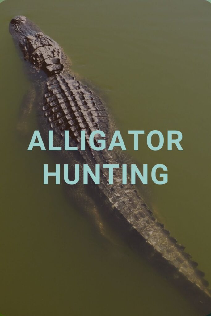 Alligator Hunting: Ladies Edition