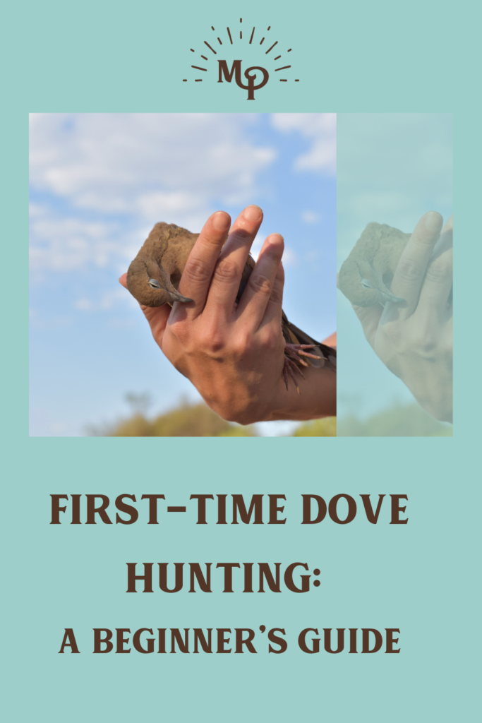 First-Time Dove Hunting: A Beginner’s Guide