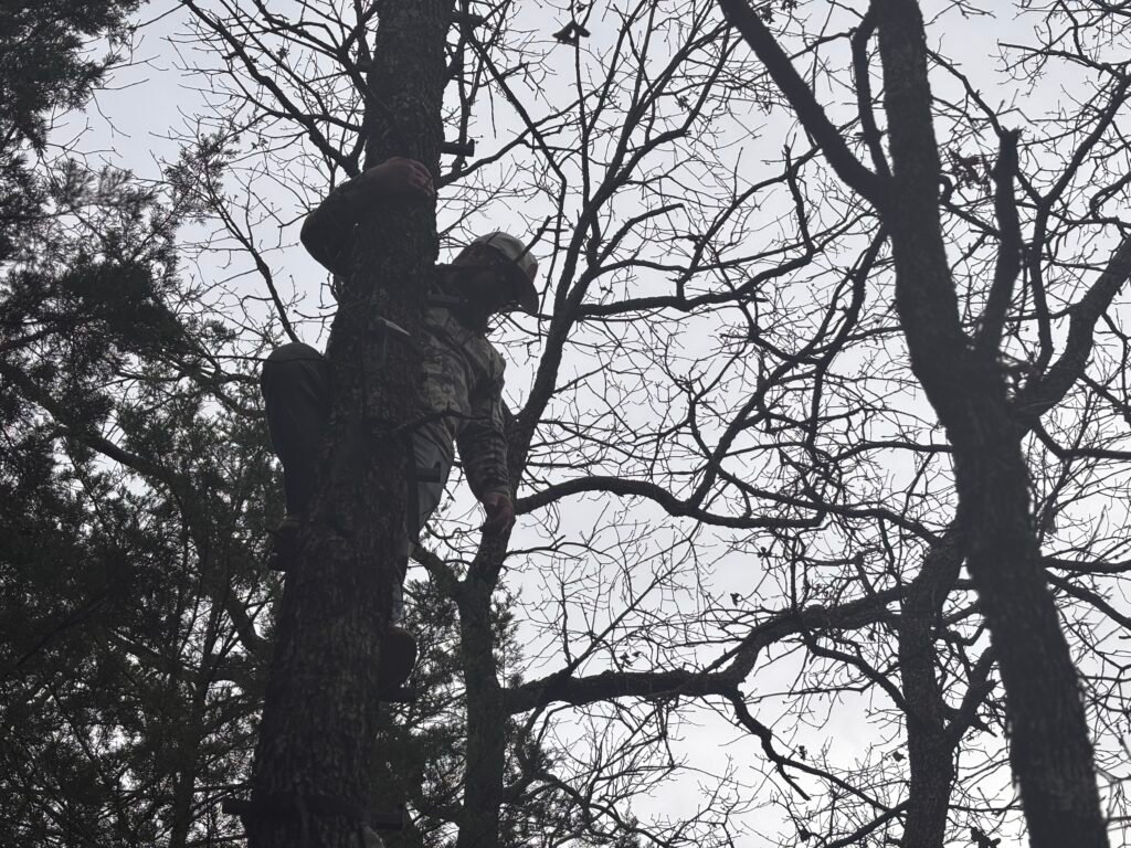 tree stand deer hunting setup
