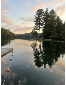 Why You Should Book A Wild Med Adventure