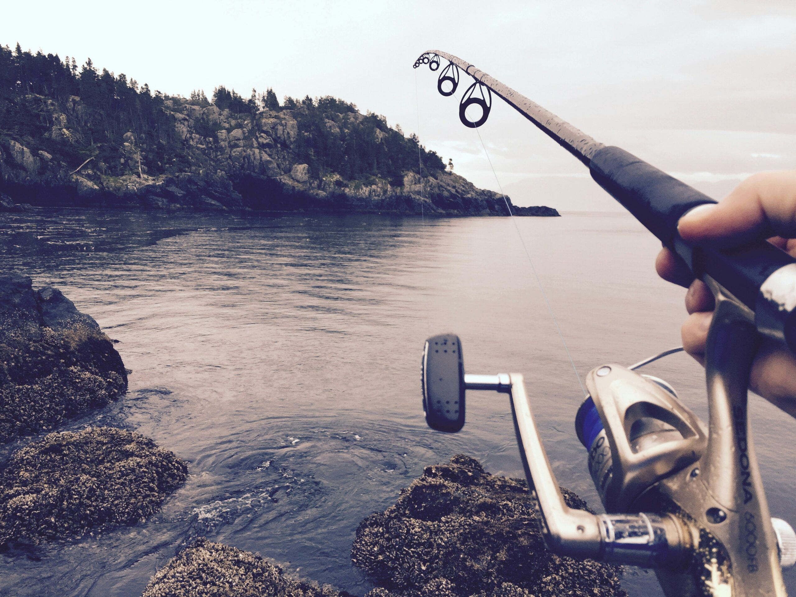 How to String a Fishing Pole | String a Fishing Pole | String a Fish Pole