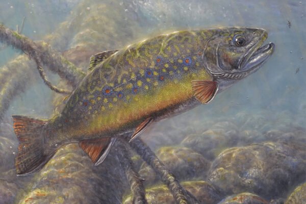 Fine Outdoor Art by Matt Doyle