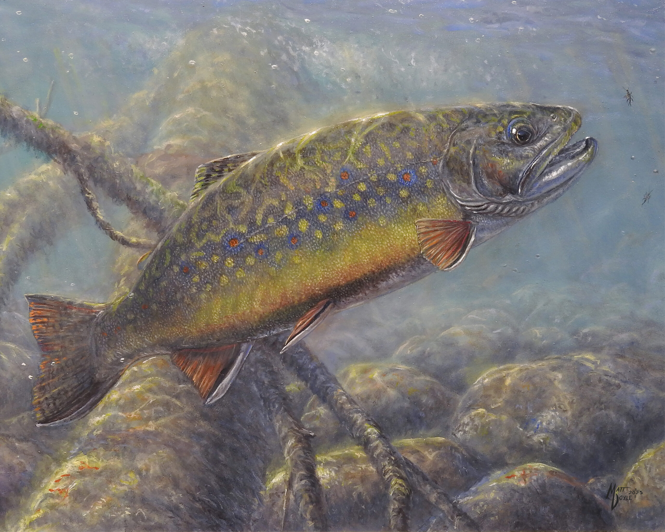 Fine Outdoor Art by Matt Doyle