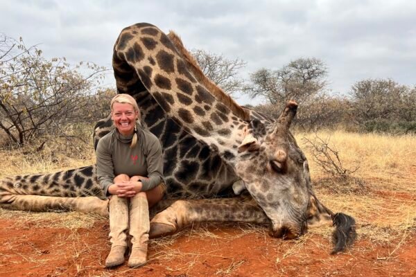 Understanding Big Game Hunting Laws: A Comprehensive Guide