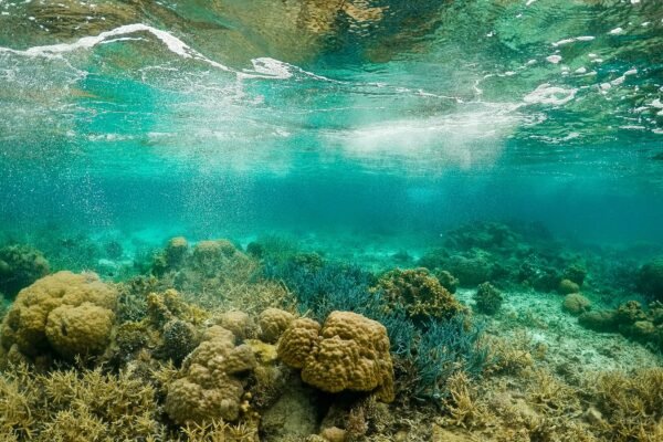 Best Underwater Cameras for Fishing: Top Picks for Anglers