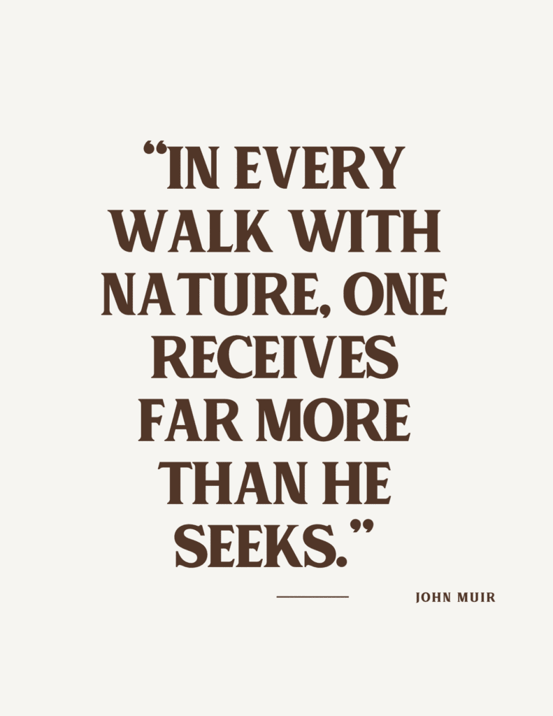 Nature-Inspired Printable Artwork for Women: Wilderness Quotes & Illustrations bundle