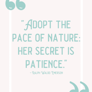 Nature-Inspired Printable Artwork for Women: Wilderness Quotes & Illustrations bundle