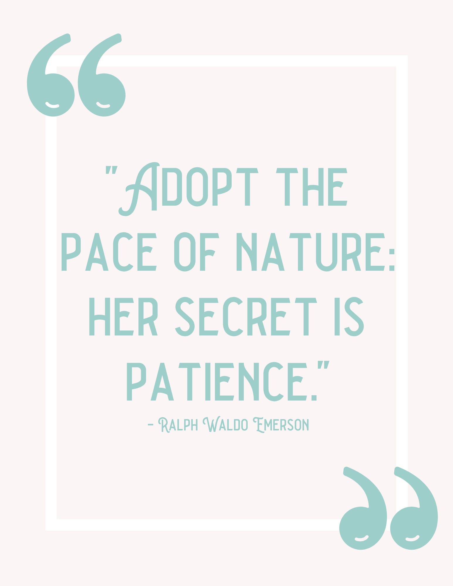 Nature-Inspired Printable Artwork for Women: Wilderness Quotes & Illustrations bundle