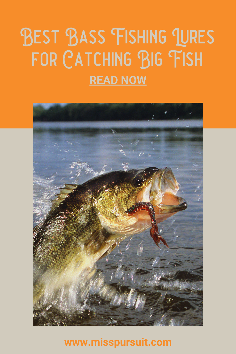 Best Bass Fishing Lures for Catching Big Fish