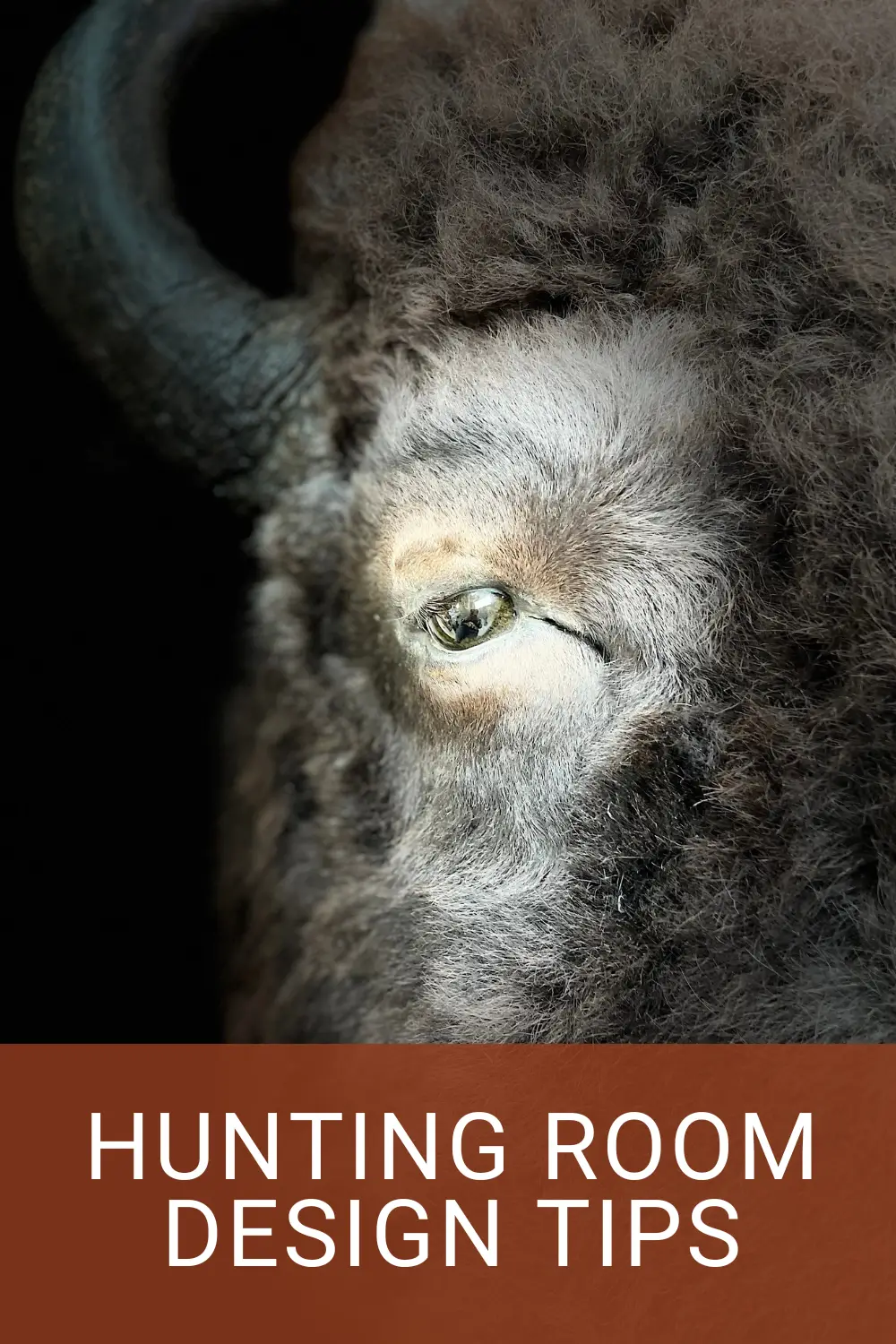 Hunting Room Design: Tips and Ideas for Creating Your Perfect Space