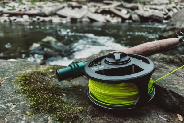 What Do Beginners Need for Fly Fishing?